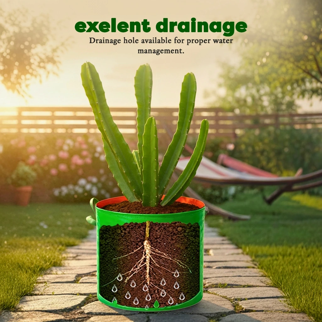 Drainage & Root System